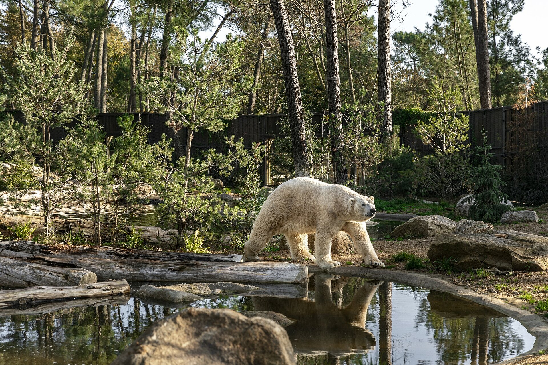 du Zoo de la Flèche