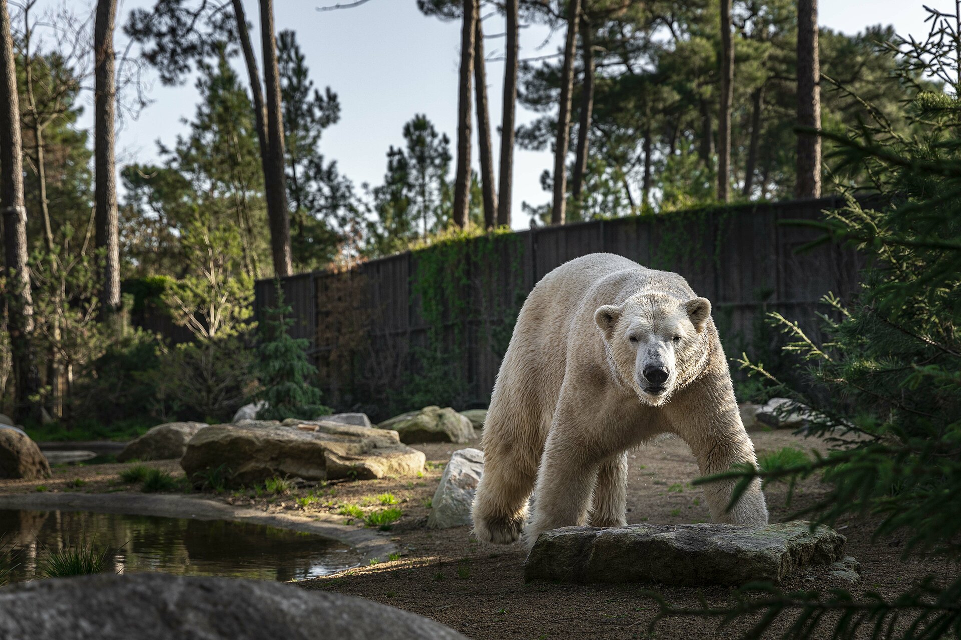 Zoo de la Flèche