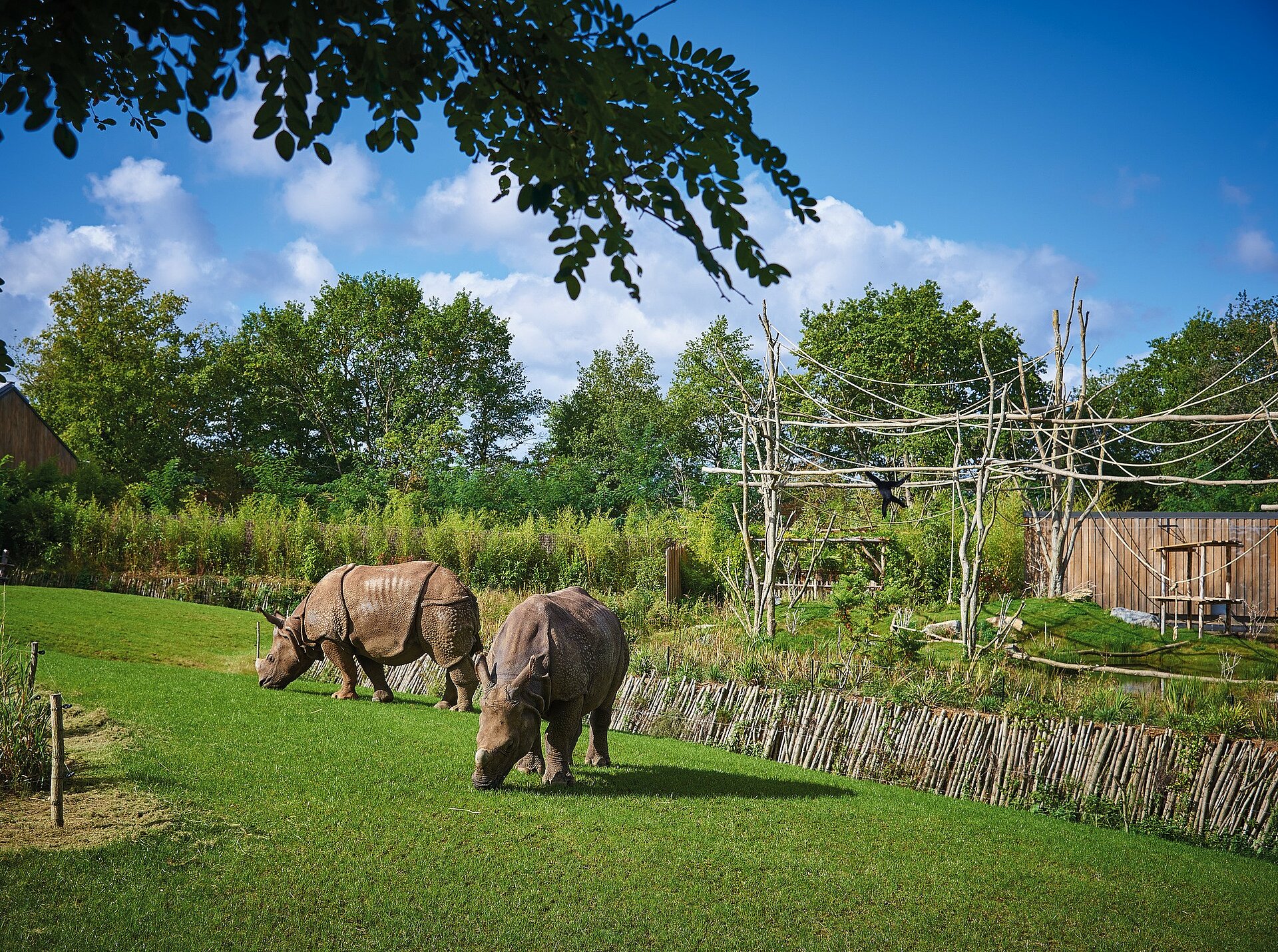 Zoo de la Flèche