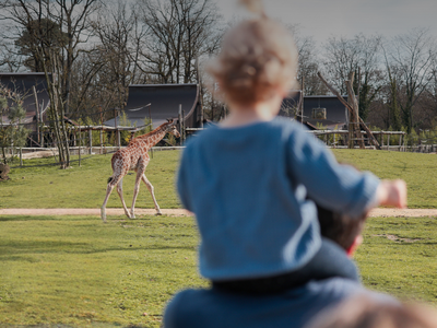 Week-end de la Girafe le 20 & 21 juin