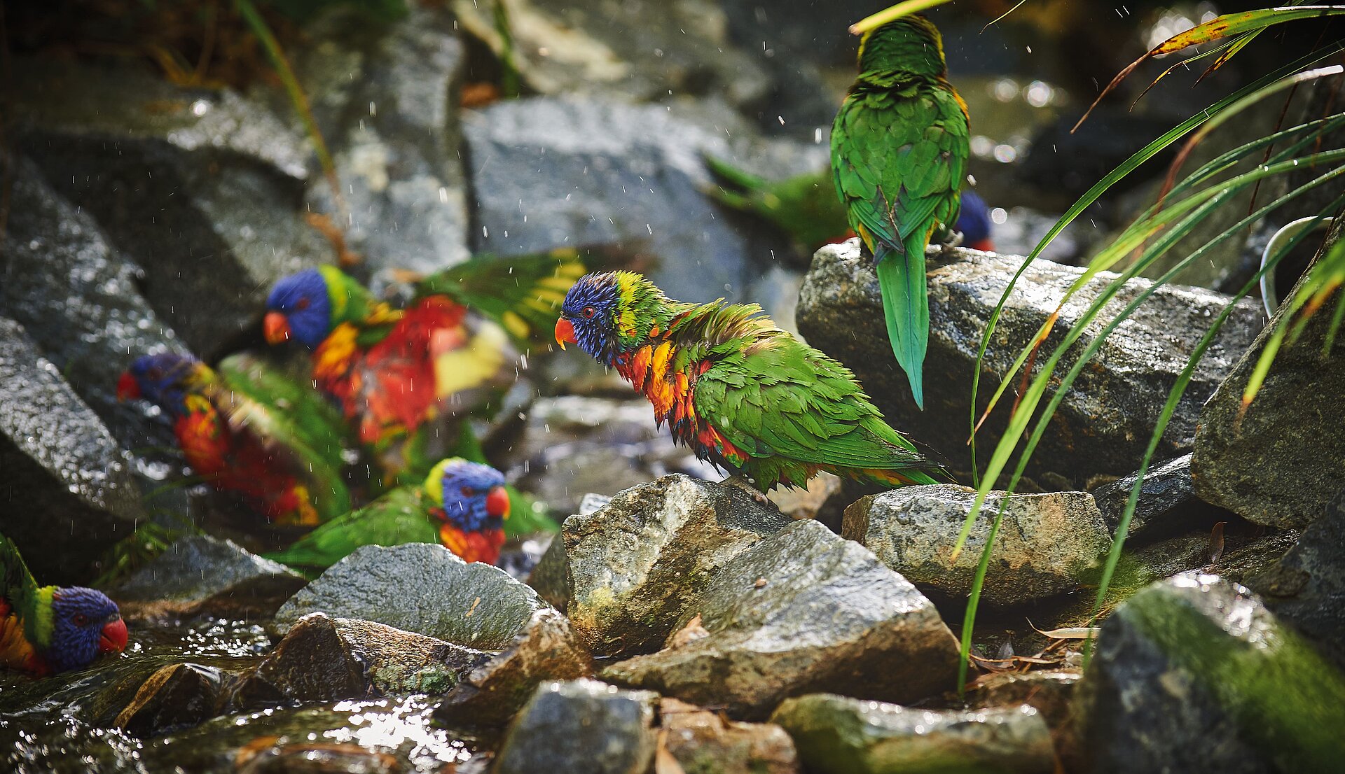 au Zoo de La Flèche