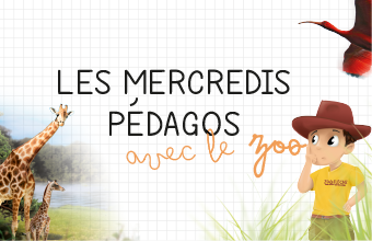 mega-menu Les mercredis pédagos du Zoo