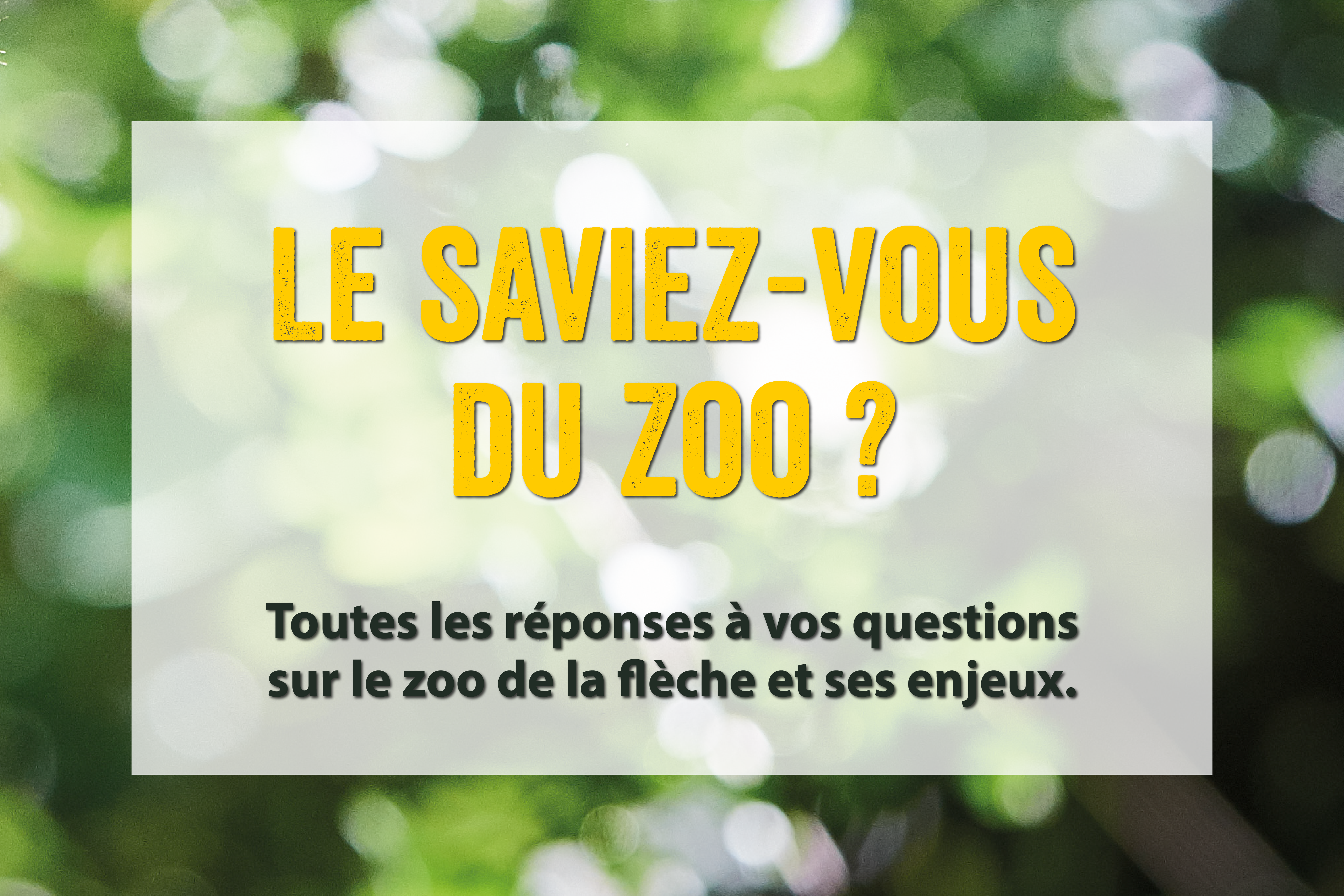 15h15 Le saviez-vous du Zoo ? 