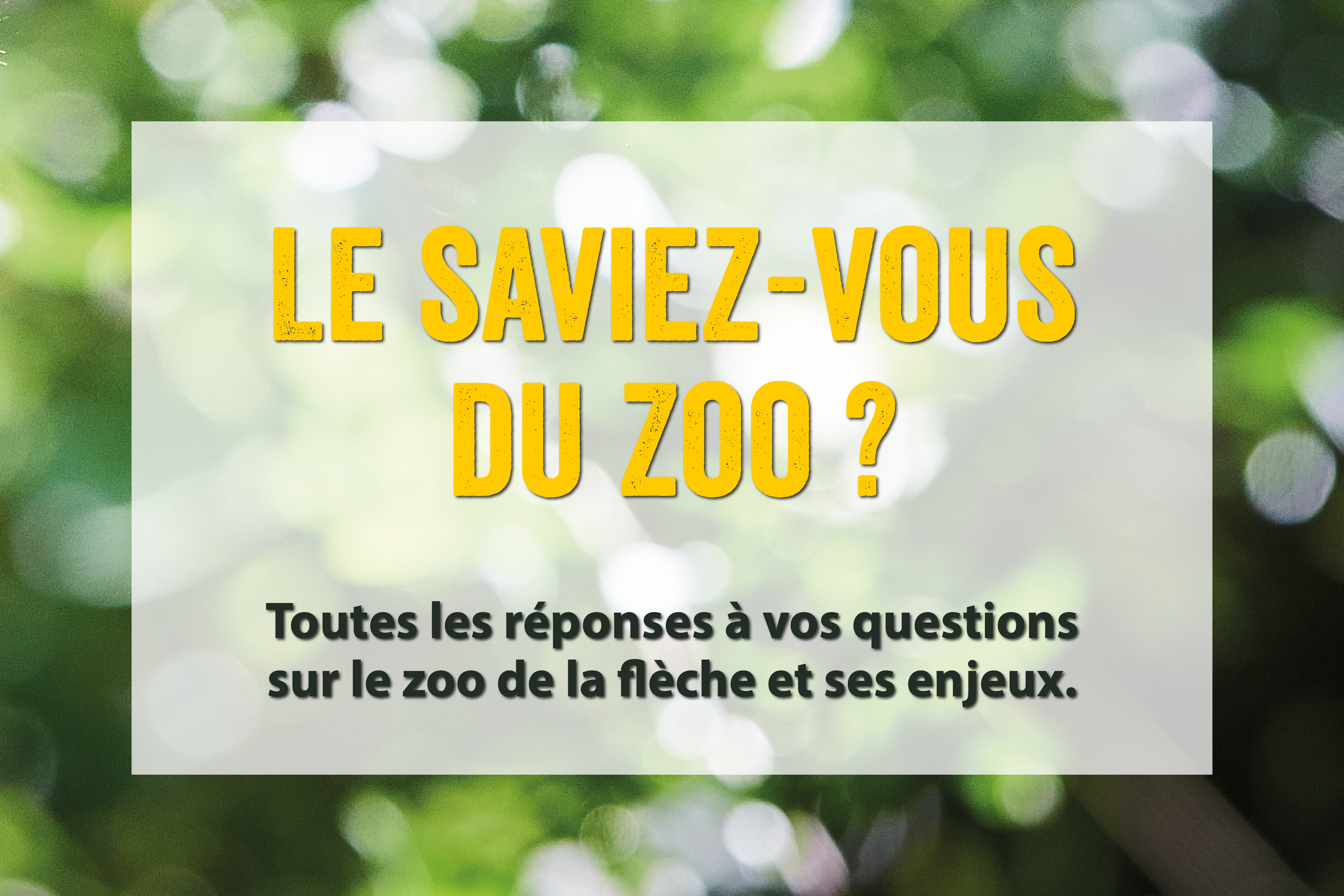 15h30 Le saviez-vous du Zoo ?